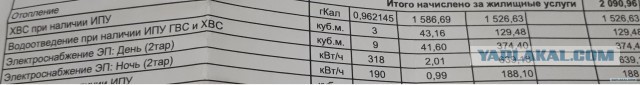 Биток растет