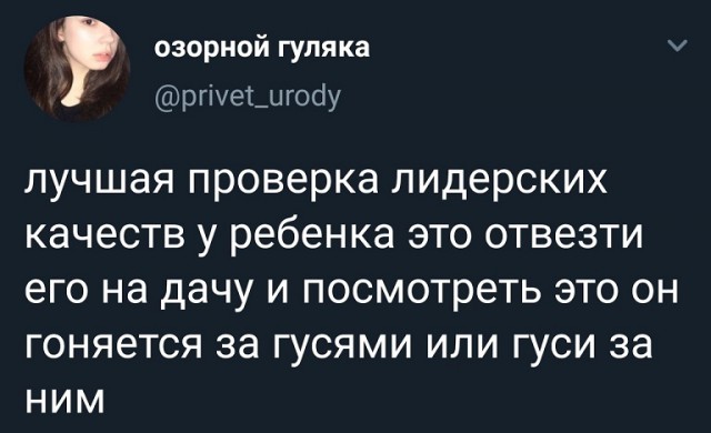 Прикольные комментарии и высказывания из Сети