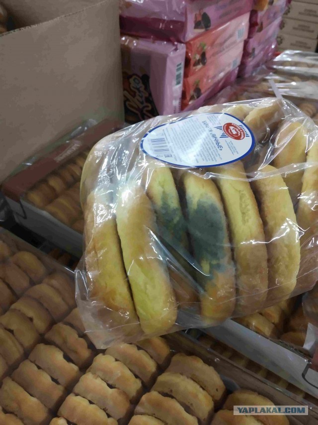 Шпрот в сапогах