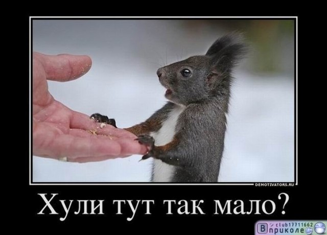 Древние мемы с ВК. Для тех кто забыл