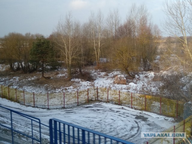 Какими бывают границы