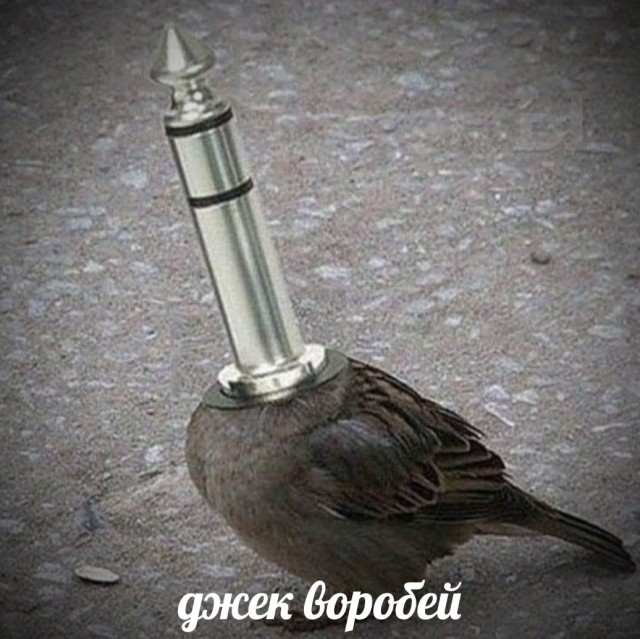 Бредзона 01.05.20