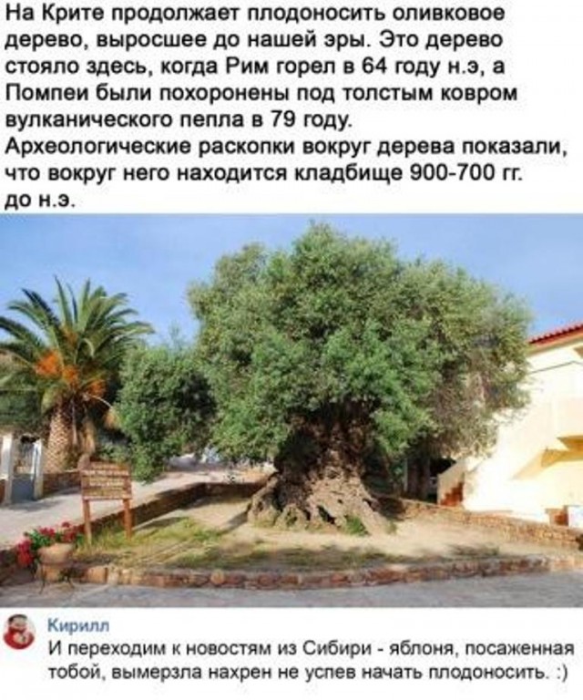 Бредзона 25.12.20