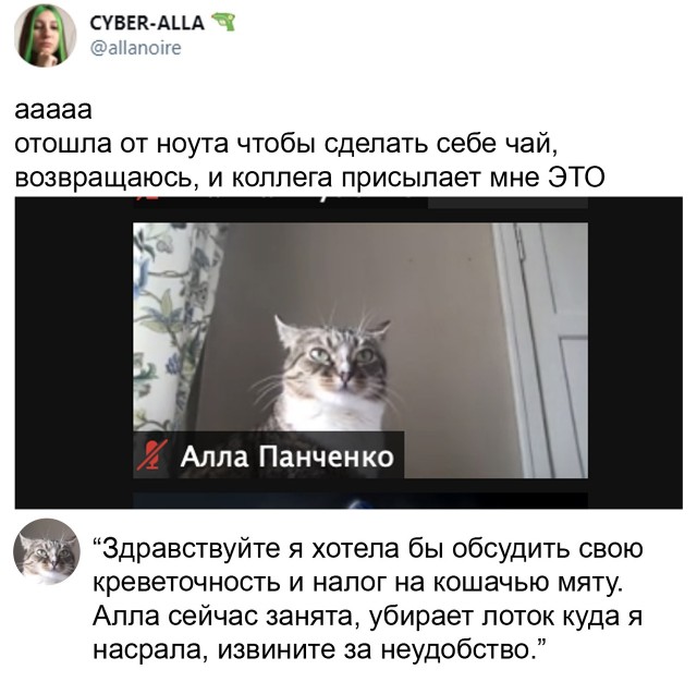 Кретинизмы из сети 14.01.21