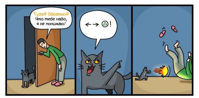 Дурацкие картинки
