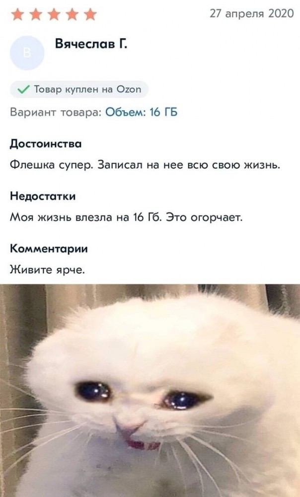 Фотки и картинки: юморные и красивые, забавные и милые 20.04.21