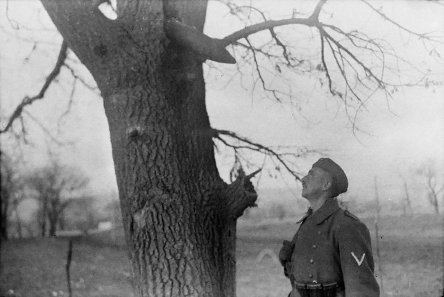 Мужчина купил старый фотоаппарат и нашел там фото оккупированного Новороссийска