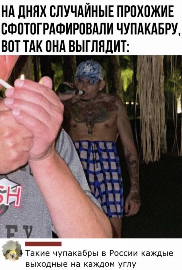 Картинки и мемы для настроения 008