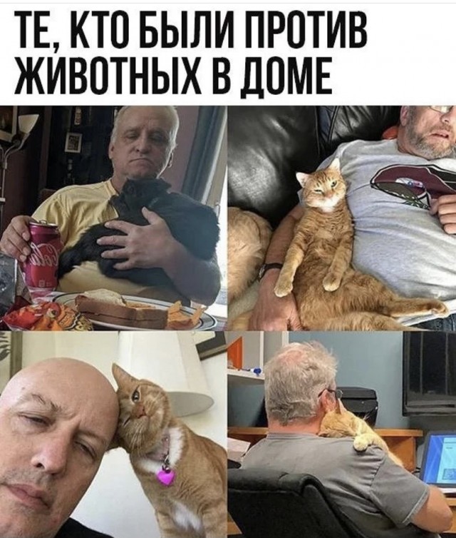 Так себе картинки 20.08.21