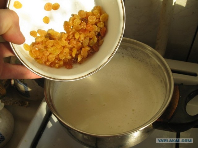 Овсянка сэр!