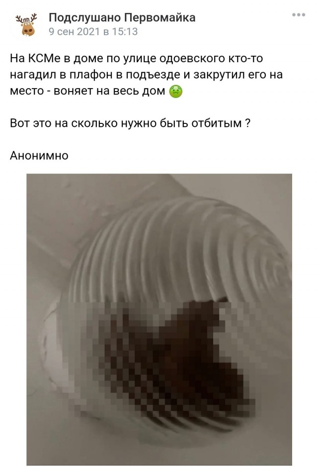 Внимание! Новости из Питера