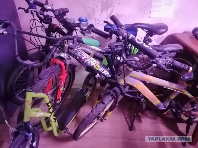 Мой велосипед. А у вас какой?