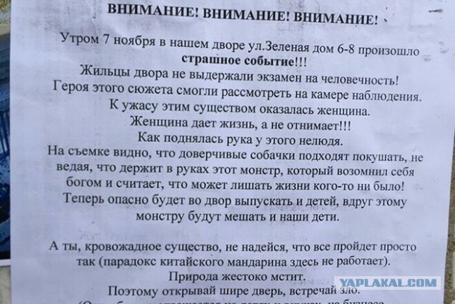 В Благовещенске женщина отравила стаю собак - листовки с ней развешены по городу