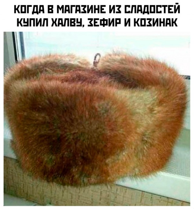 Весёлый полтишок 01.04