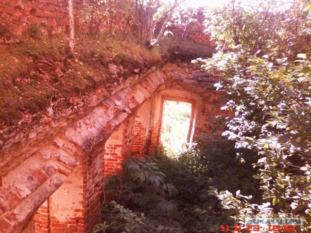Костромская Аномальная Зона