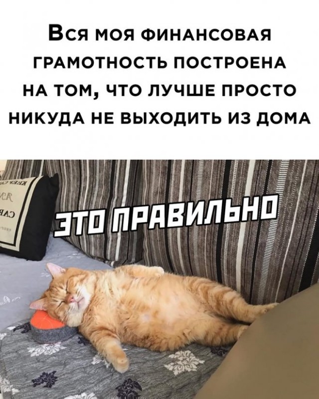 Картинки и мемы для настроения - 21