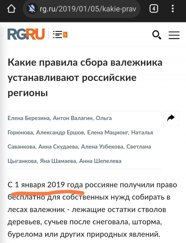 Власти Польши разрешили гражданам собирать в лесу хворост из-за роста цен на энергоносители