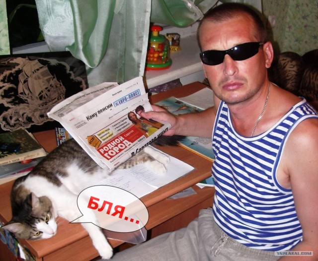 Появился у меня ещё один друг...