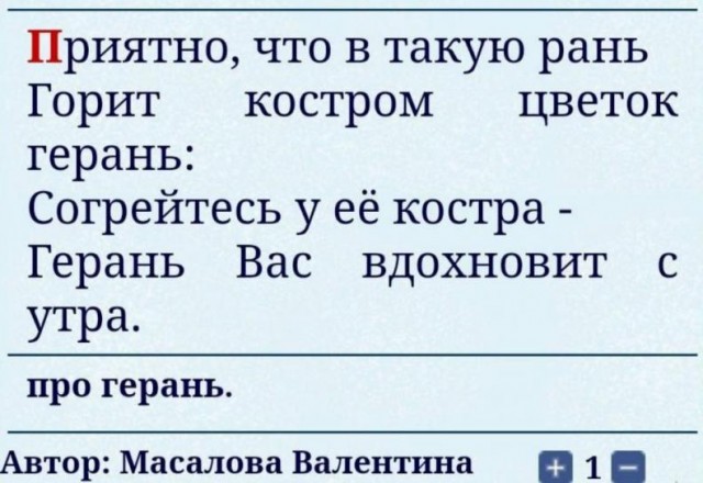 Герань 2. Обзор особенностей беспилотника