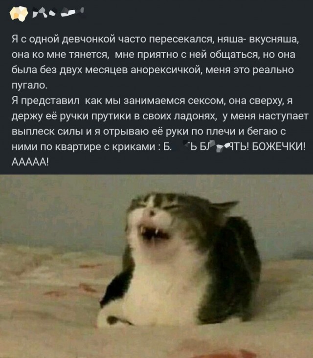 Весёлый полтишок 24.11.22