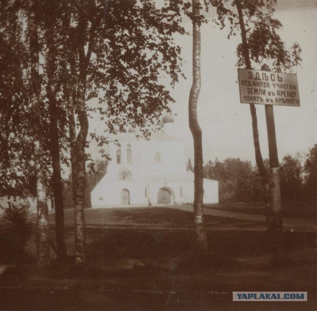 Забавные фото из  царских фотоальбомов