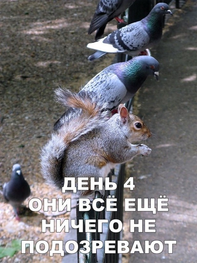 Картинки и мемы, всем хороших выходных