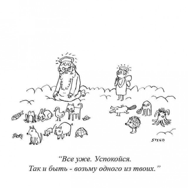 Одна пикча