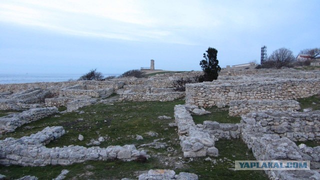 Крым в феврале или "Не стреляйте в белых лебедей!"