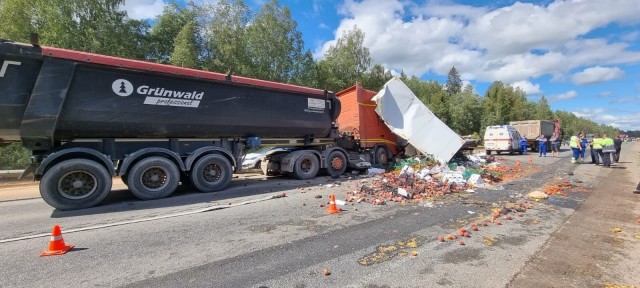 Понесла куда-то нелегкая