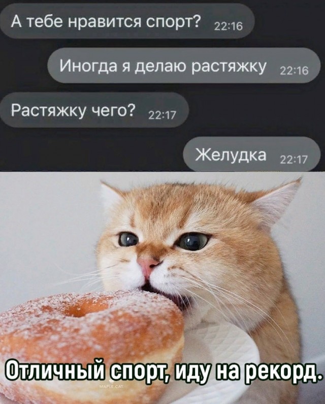 Весёлый полтишок 26.10.23