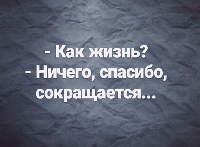 Весёлый полтишок 01.11.23