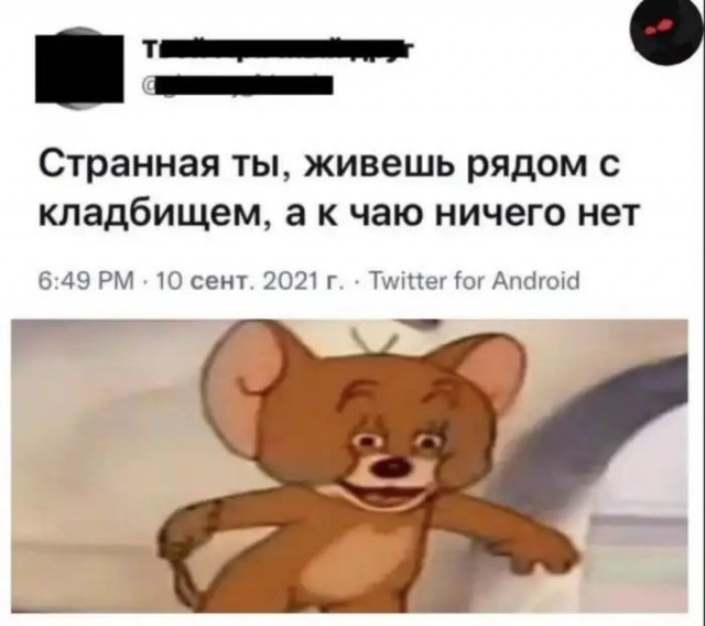 Чёрная тема: небольшая подборка с юмором на любителя