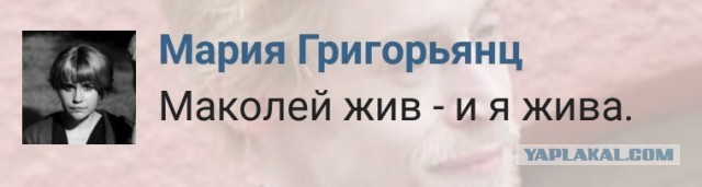 Ну как ты, сынок?