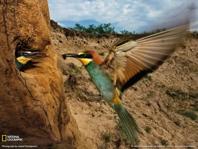 Лучшие фото от National Geographic