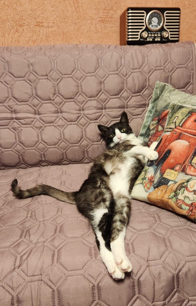 Жизнь удалась