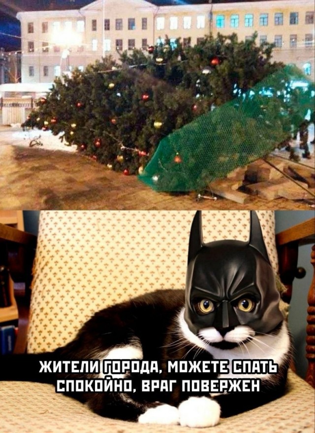 Так себе картинки 04.01.24