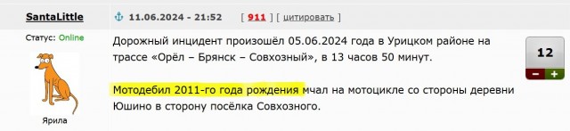 В Орловской области онжеребенок на питбайке сбил насмерть пожилую женщину