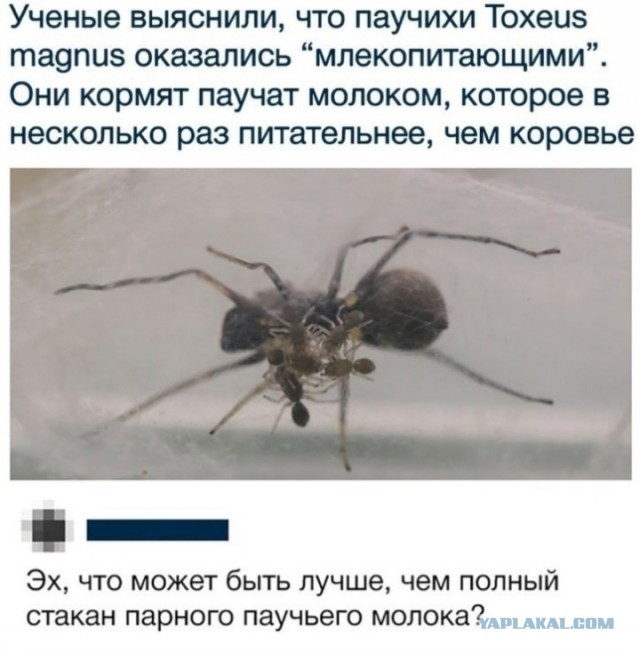 Так себе картинки 13.07.24