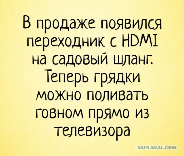 Сливочное масло рекордно подорожало в России из-за того, что россияне стали больше зарабатывать