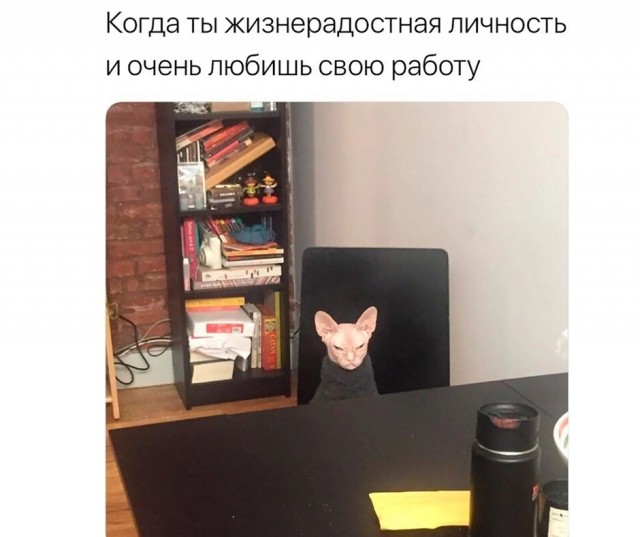 Завалялось тут случайно немного забавных картинок