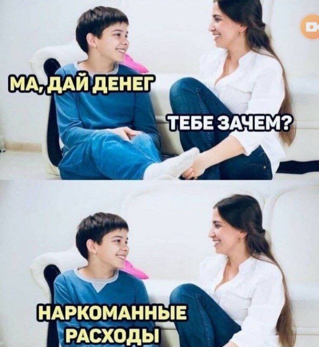 Немного забавных картинок от 22.12.24