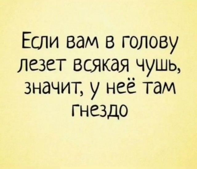 Так себе картинки 12.02.25
