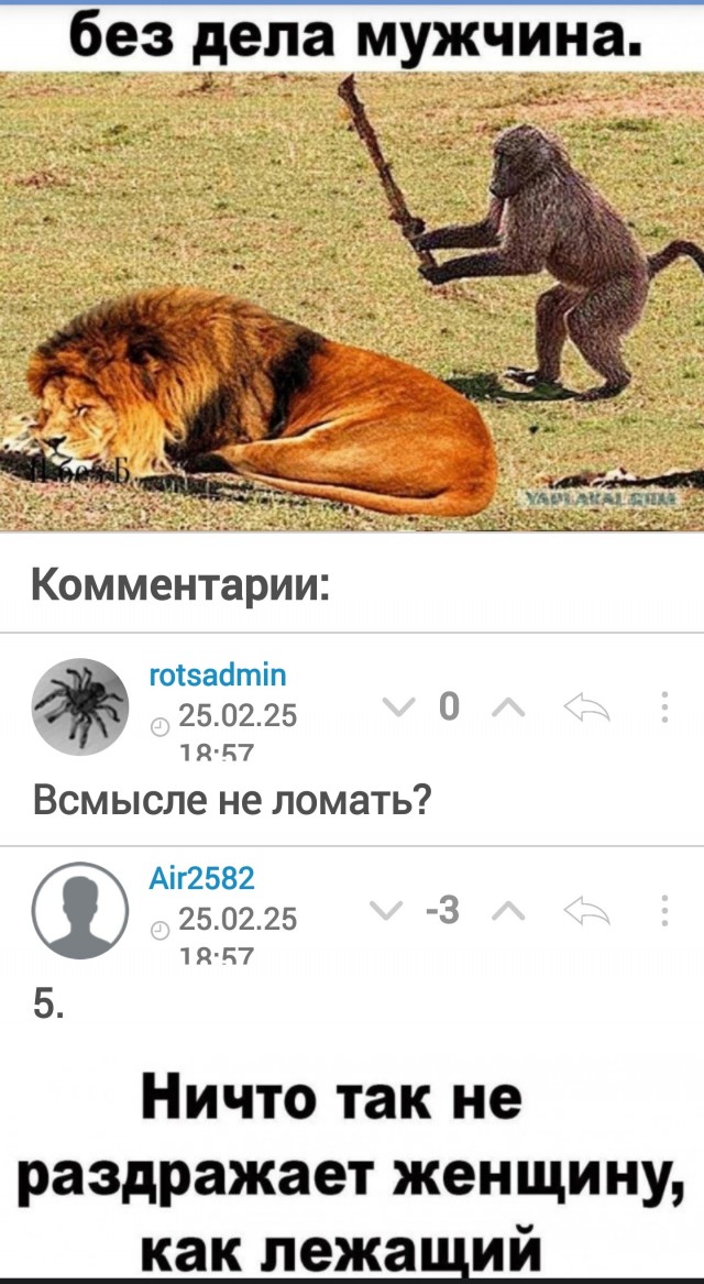 Сборник Баянов