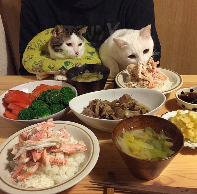 Дороже всего обед в ресторане для двух персон оказался в странах Европы