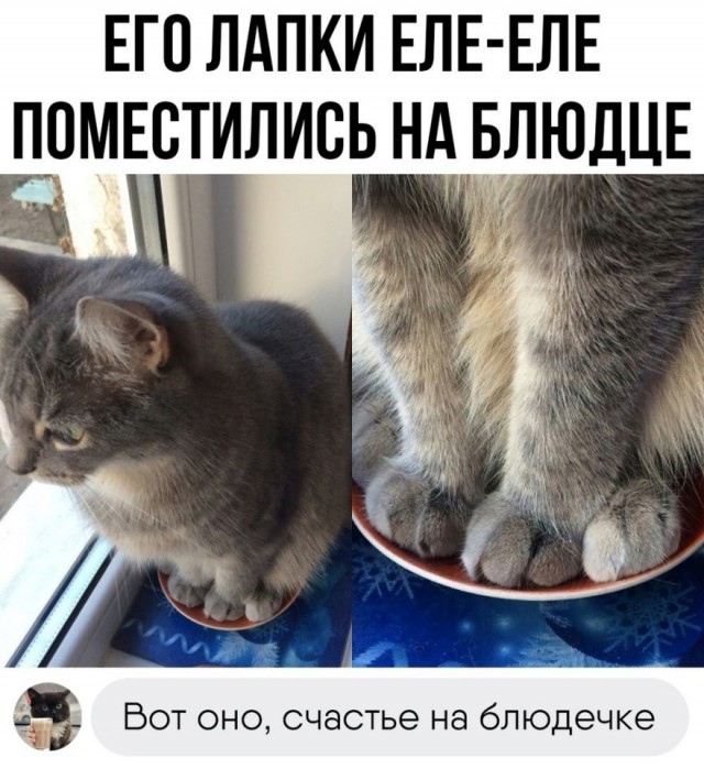 Так себе картинки 31.05.25