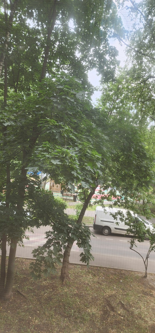 Женщина легкого поведения и мужчины