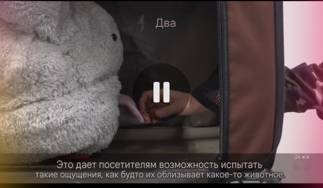 Японские умельцы создали язык