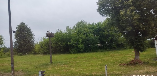 ВНЖ Беларусь. Суровая Реальность