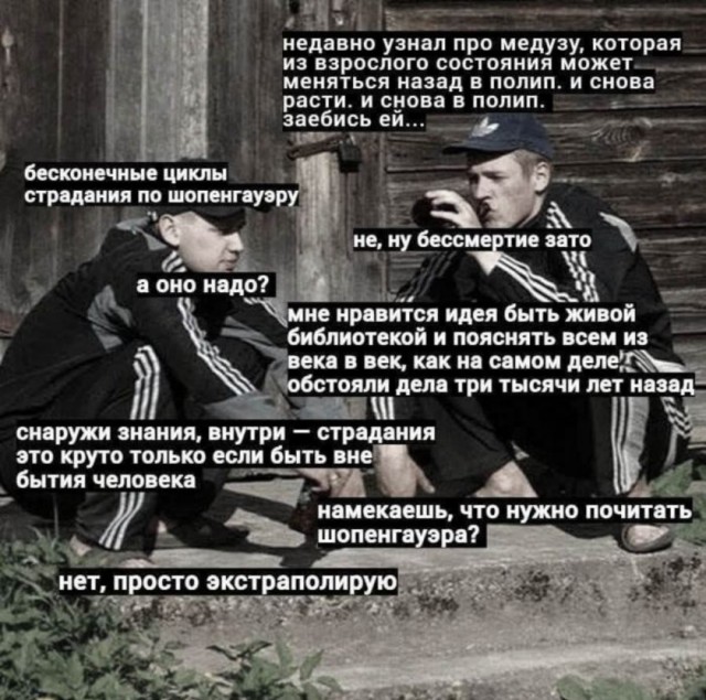 Картинки для деградации-5 (разной степени свежести)