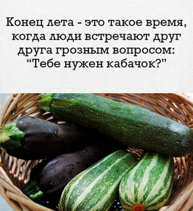 Про кабачки